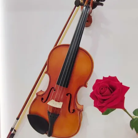 아파트 Arena Concert Concerto - Historic House Amorino At 